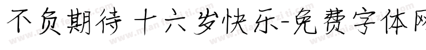 不负期待 十六岁快乐字体转换